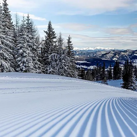 Vakantiehuis Pabstin